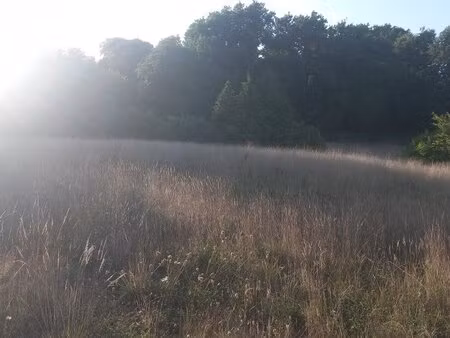 en vente terrain constructible 89 ares – 642 000 € |creutzwald