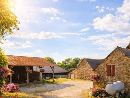 vente ferme 1 pièce 3429 m² à pluméliau-bieuzy (56930)  83 000 €