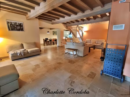 maison à vendre vianne 8 pièce(s) 293m2 520 000€