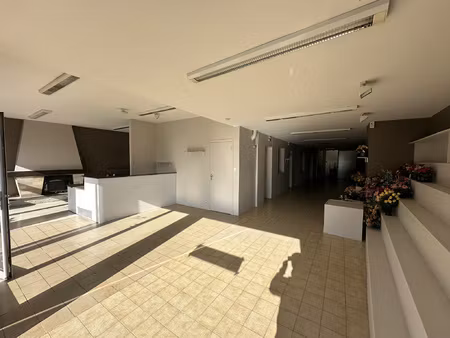 achat immeuble 266m² baud 56150