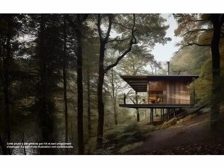 vente terrain 41380 m² juillac (19350)