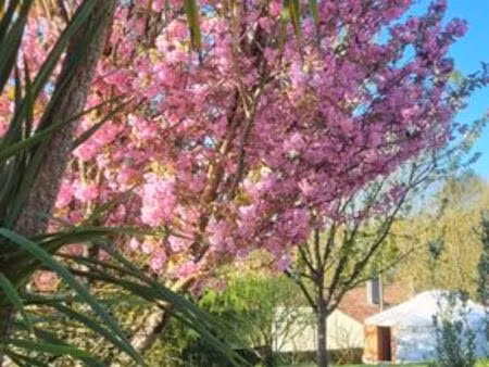 maison de prestige de 320 m2 en vente bazoges-en-pareds  france