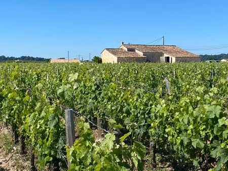 excellence à saint-émilion : domaine viticole prestigieux avec résidence d'exception