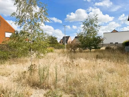 grond te koop in westerlo