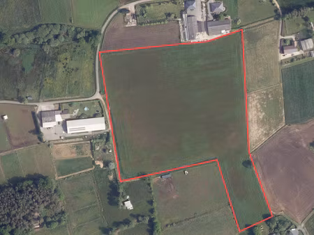 terrain à vendre à herselt € 386.000 (le6ak) - van de poel & pinoy | zimmo