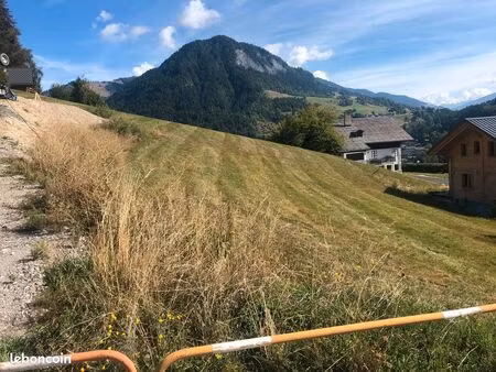 terrain constructible