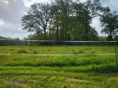 2 hectares (19760 m²)