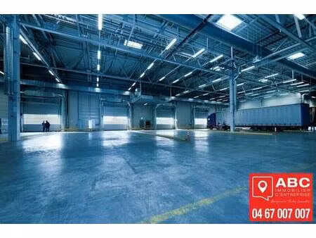 local d'activités à louer