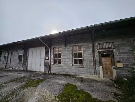 local industriel savins 11000 m2