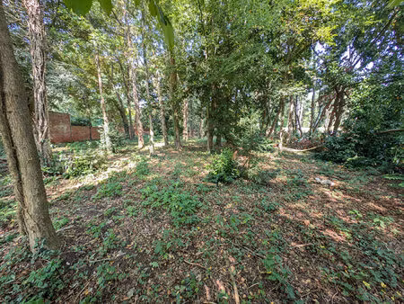 terrain congis sur therouanne 1000m2