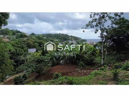 vente terrain 2479 m² à la trinite (97220)  163 000 €