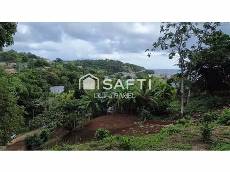 vente terrain 2479 m² à la trinite (97220)  163 000 €