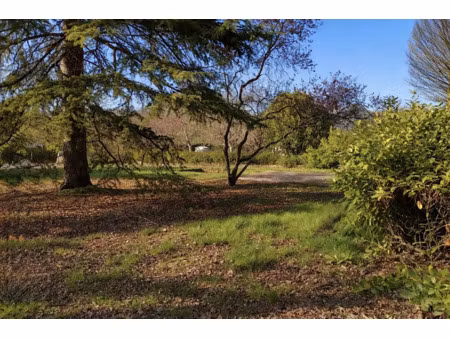 vente terrain 785 m² à amboise (37400)  117 500 €
