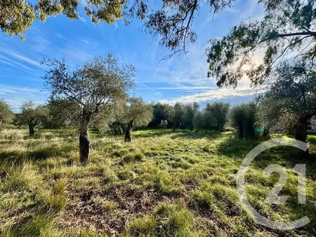 vente terrain à batir 2000 m² à opio (06650)  790 000 €