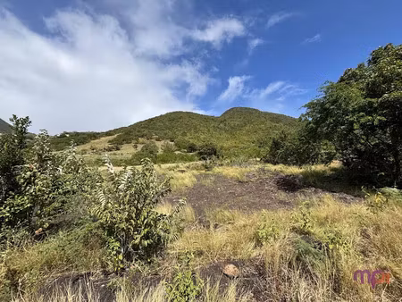 vente terrain à les anses d arlet (97217)  291 500 €
