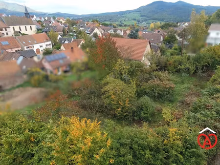 vente terrain à batir 584 m² à neubois (67220)  78 400 €