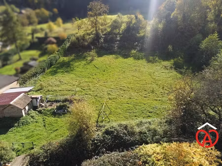 vente terrain à batir 2921 m² à urbeis (67220)  139 000 €