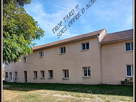 indre (36) aux portes de la touraine  lucay le male maison 450 m² jardin de 4 482 00 m²