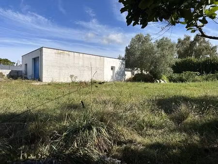 terrain