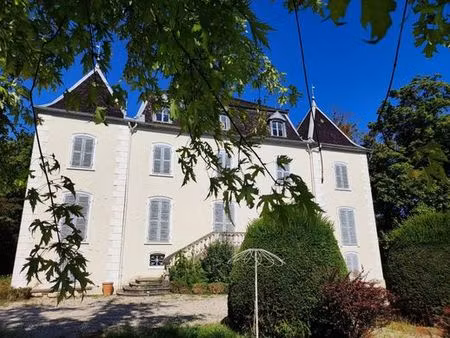 prestigieux château en vente pont-d'ain  france