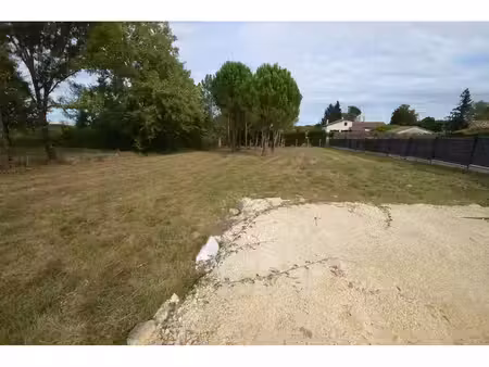terrain