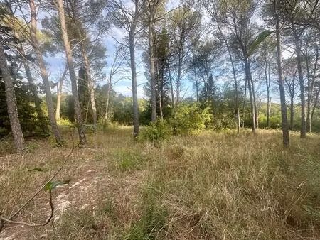 terrain constructible 1041 m2