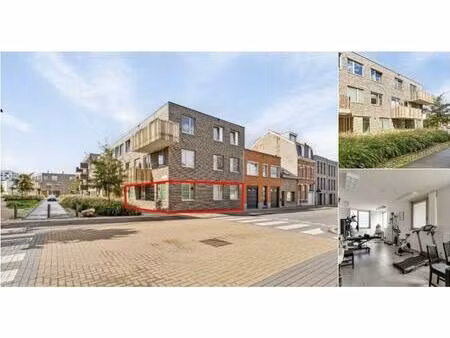 surface commerciale à vendre à schaapskooi 2 hoboken (rwc40698)