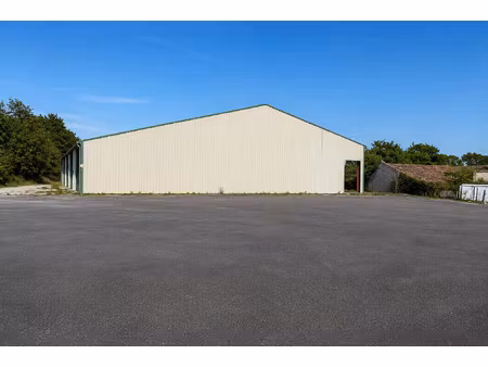 vente garage reignac (33860)