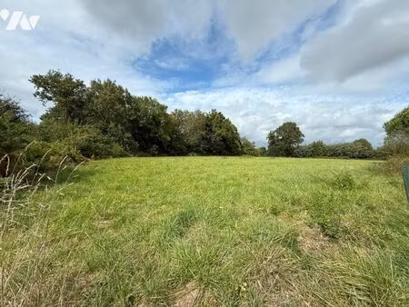 vente terrain la trinité-surzur (56190)