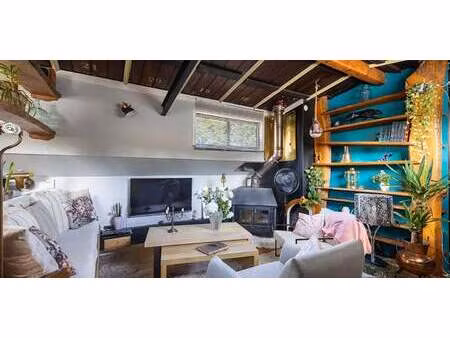 péniche montbeliard (25)