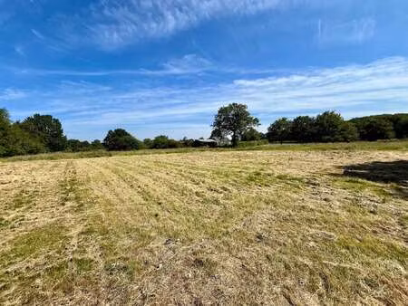 vente terrain à écuillé (49460) : à vendre / écuillé