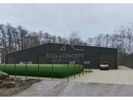 kaltenhouse à proximité de haguenau  découvrez cette belle opportunité  cellule d'environ 