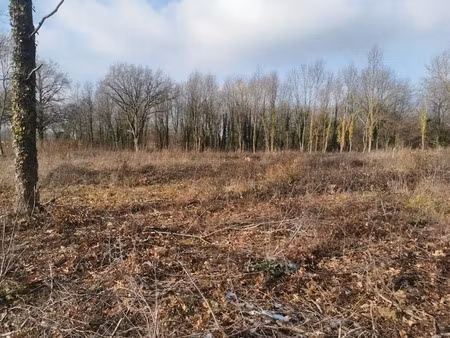 vente terrain 1711 m² à saint-etienne-de-vicq (03300)  28 700 €