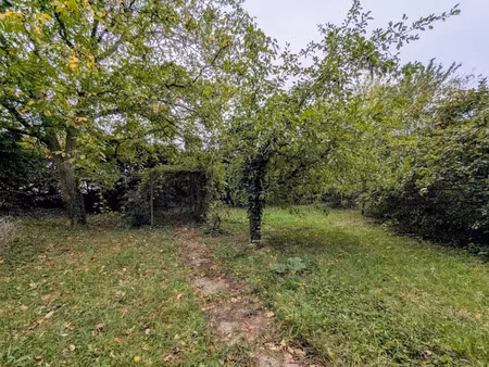 vente terrain 481 m² à chelles (77500)  225 000 €