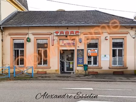 vente locaux professionnels 160 m² à hayange (57700)  40 000 €