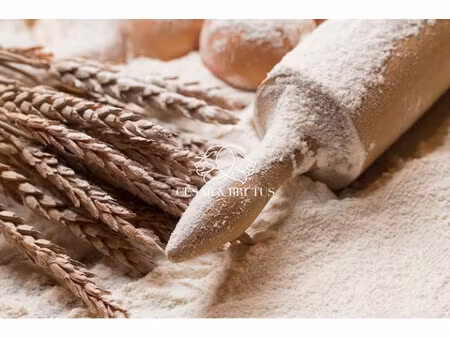 fonds de commerce lyon 09 - 220 m2