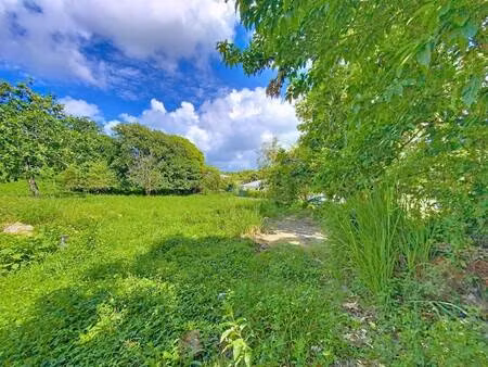 terrain constructible à vendre