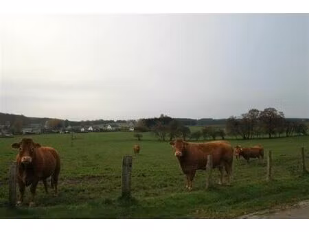 grond te koop in paliseul