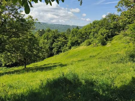 vente terrain 9500 m² beynat (19190)