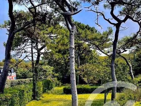 vente terrain à bangor (56360) : à vendre / 654m² bangor