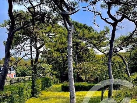 vente terrain à bangor (56360) : à vendre / 830m² bangor