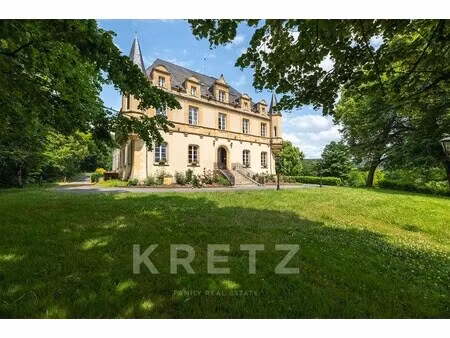 château à vendre à montignac