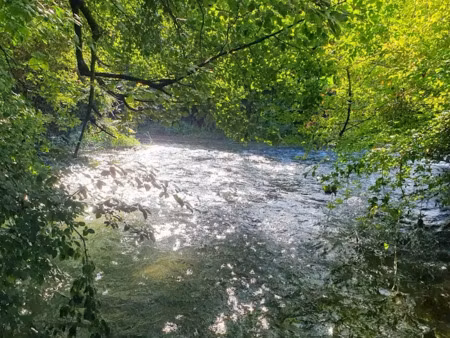 vente terrain 2540 m² à torcy-le-petit (76590)  72 000 €