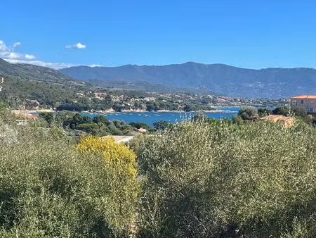 villa de luxe de 5 pièces en vente sagone  corse