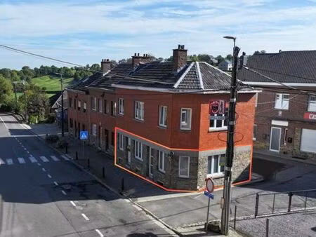 appartement 1 chambre lumineux avec cave et garage en option