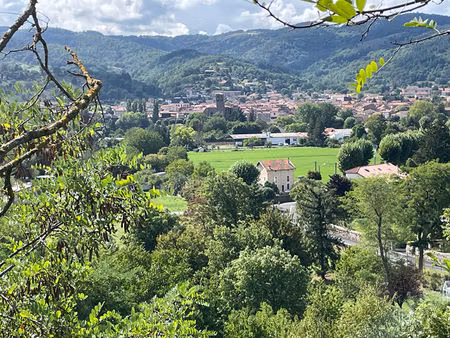 terrain langeac à vendre
