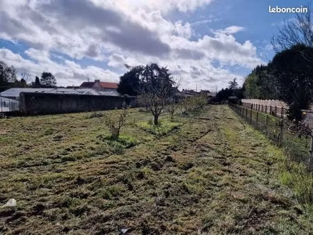 terrain constructible