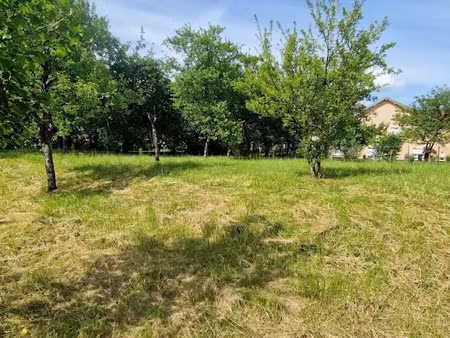 vente terrain 1040 m² à cenans (70230)  35 000 €