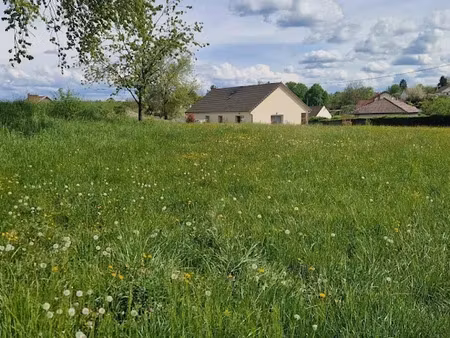 vente terrain 1000 m² à montbozon (70230)  32 000 €