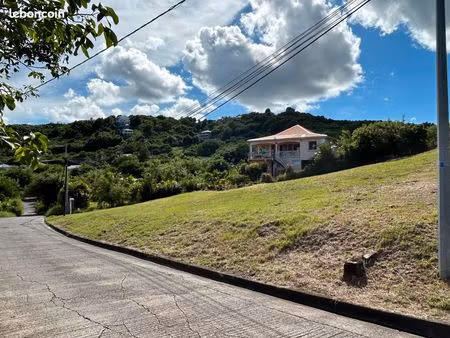 affaire terrain pres des plages (marin et sainte-anne)